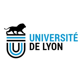 Formation Université de Lyon, Campus Création : entrepreneuriat, finance d'entreprise, stratégie financière